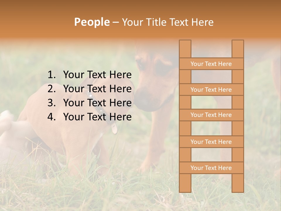 A Couple Of Dogs That Are Standing In The Grass PowerPoint Template