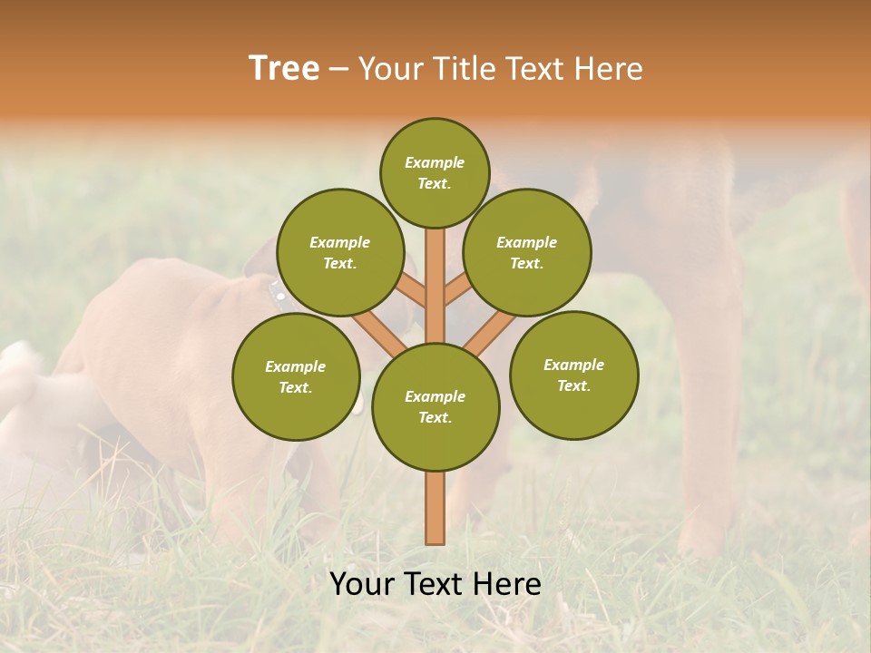 A Couple Of Dogs That Are Standing In The Grass PowerPoint Template