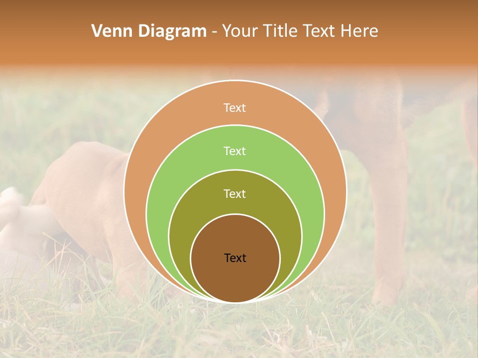A Couple Of Dogs That Are Standing In The Grass PowerPoint Template