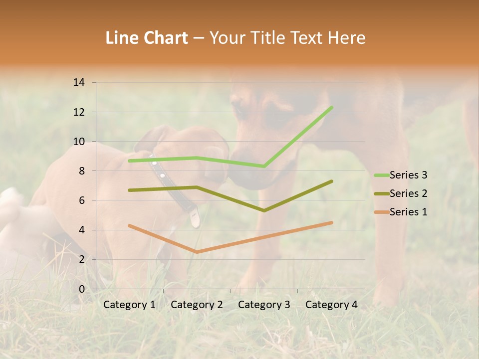 A Couple Of Dogs That Are Standing In The Grass PowerPoint Template