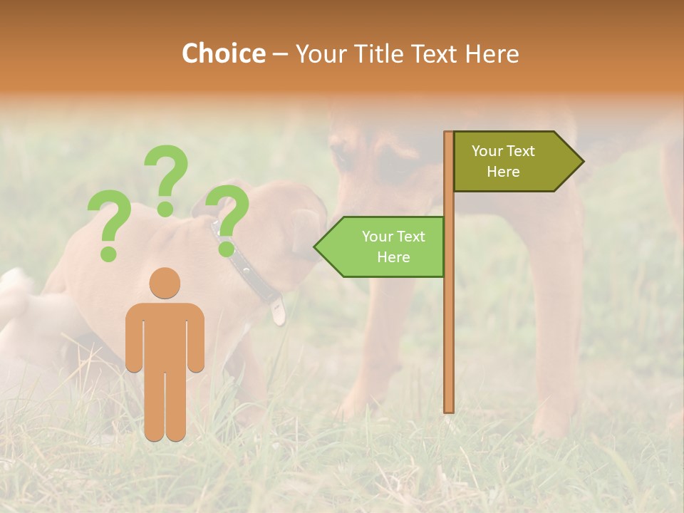 A Couple Of Dogs That Are Standing In The Grass PowerPoint Template