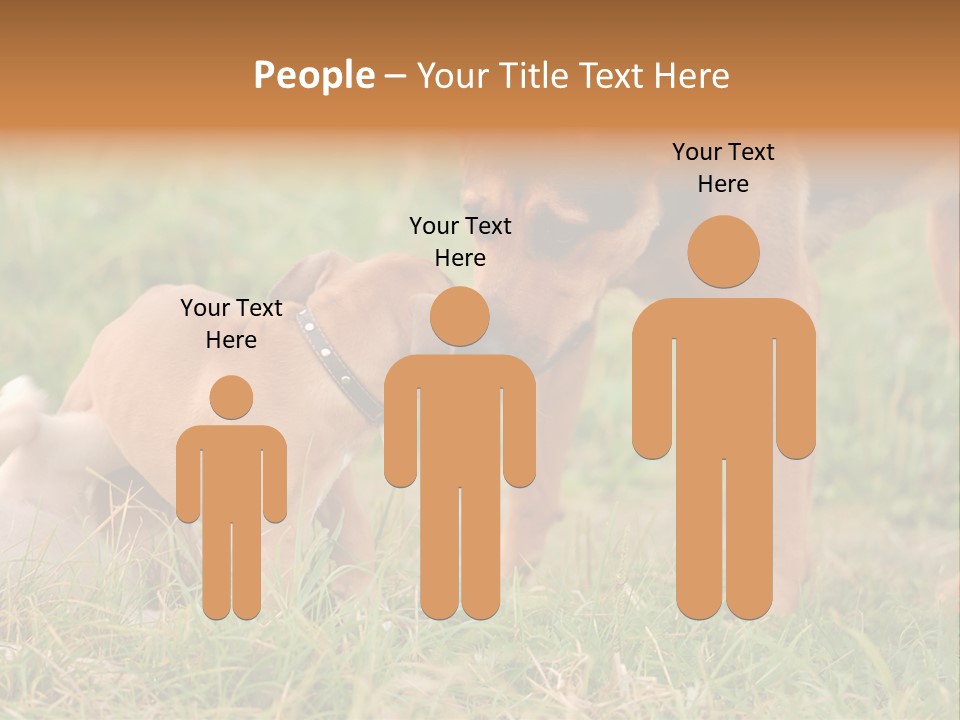 A Couple Of Dogs That Are Standing In The Grass PowerPoint Template
