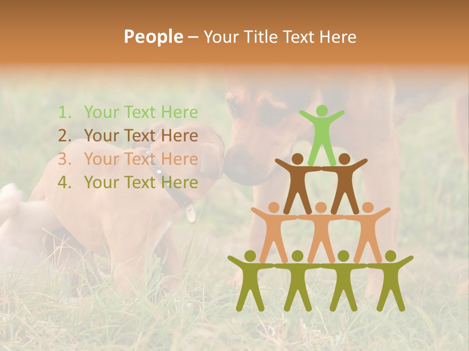 A Couple Of Dogs That Are Standing In The Grass PowerPoint Template