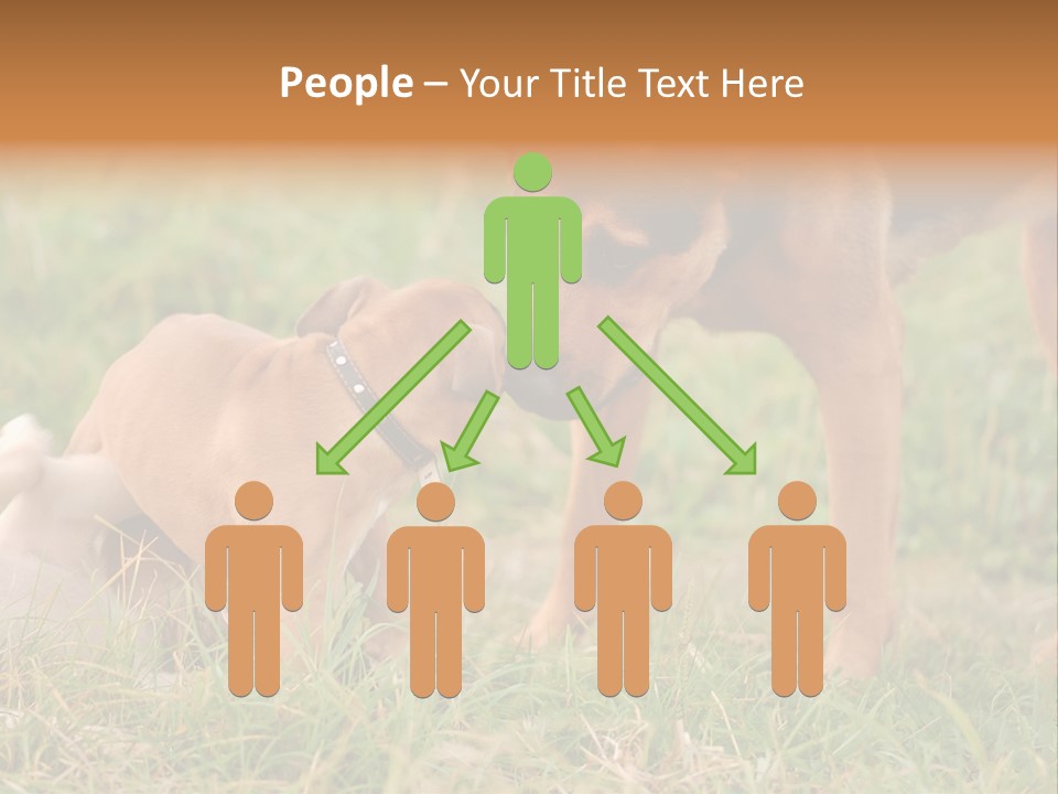 A Couple Of Dogs That Are Standing In The Grass PowerPoint Template