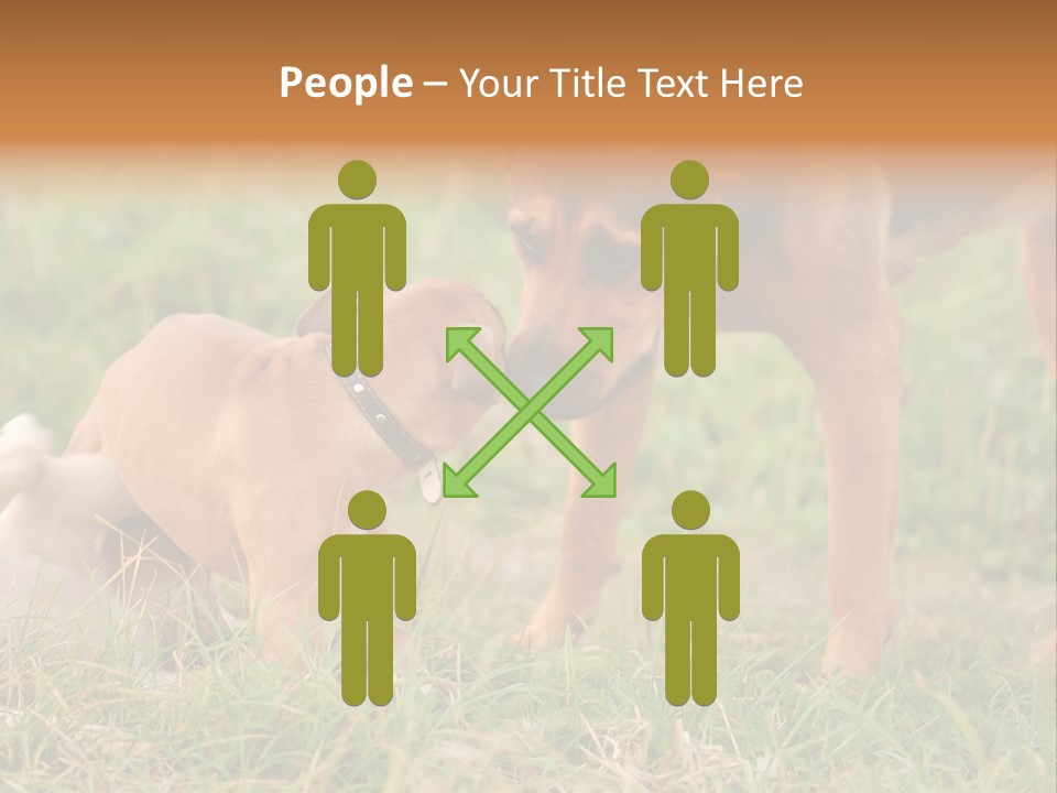 A Couple Of Dogs That Are Standing In The Grass PowerPoint Template