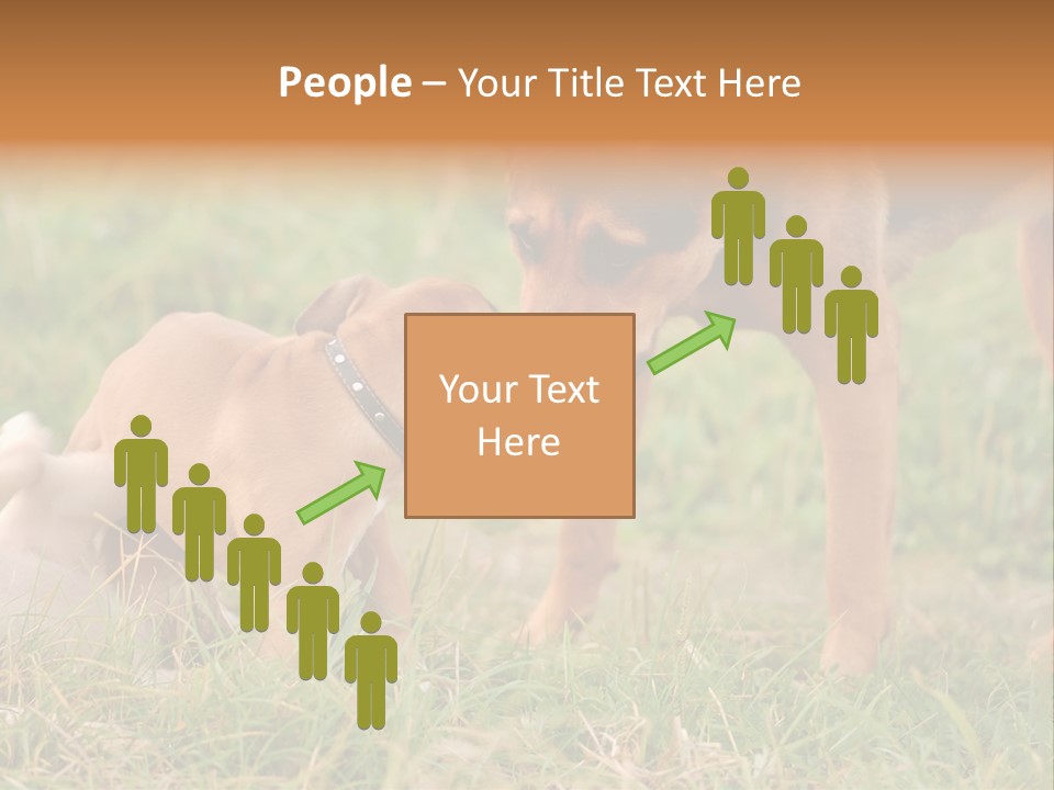 A Couple Of Dogs That Are Standing In The Grass PowerPoint Template