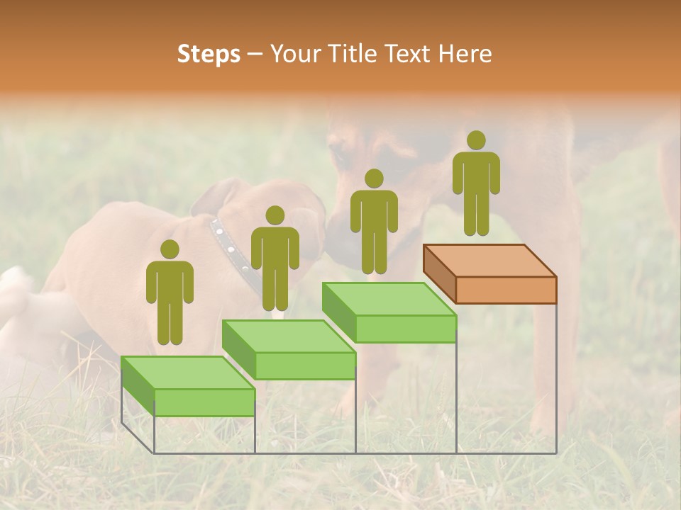 A Couple Of Dogs That Are Standing In The Grass PowerPoint Template