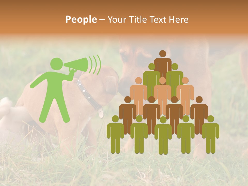 A Couple Of Dogs That Are Standing In The Grass PowerPoint Template