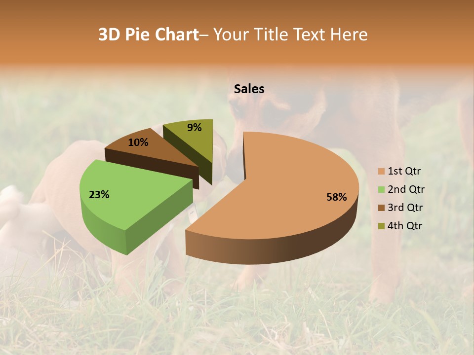 A Couple Of Dogs That Are Standing In The Grass PowerPoint Template