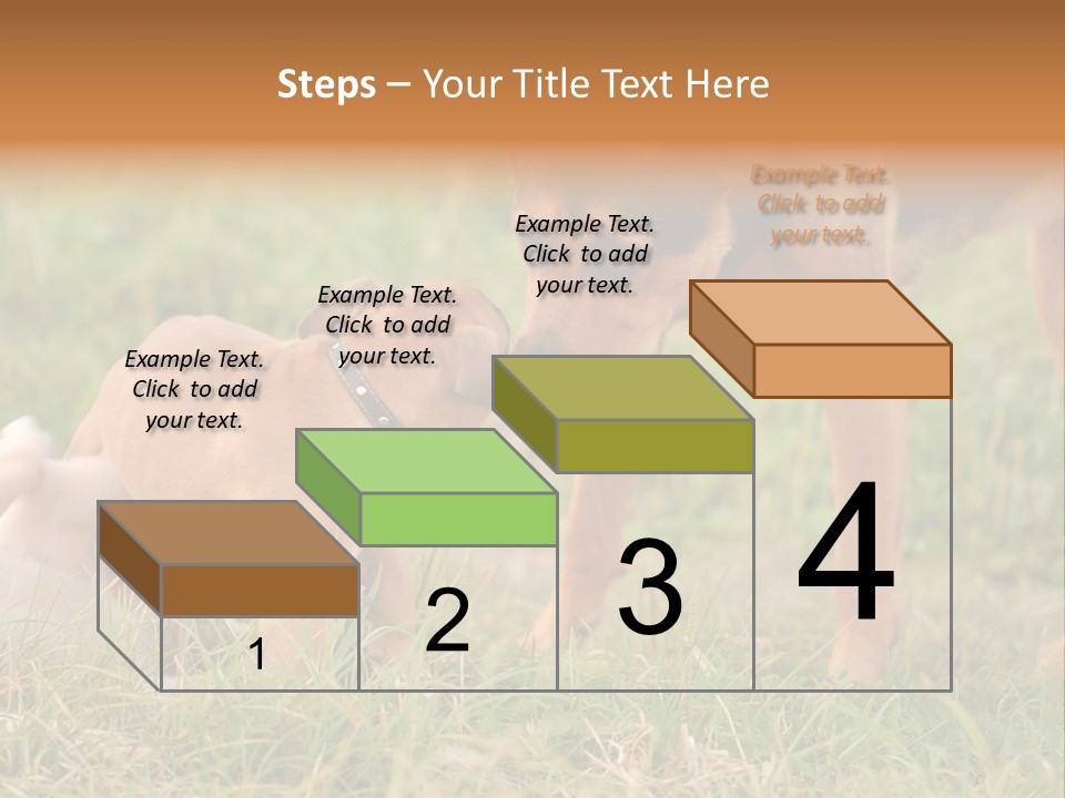 A Couple Of Dogs That Are Standing In The Grass PowerPoint Template