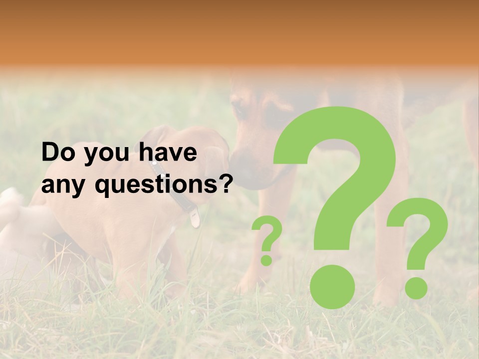 A Couple Of Dogs That Are Standing In The Grass PowerPoint Template