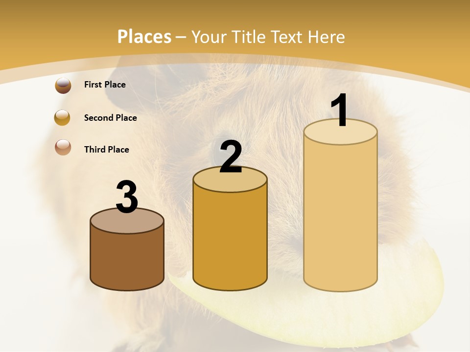 A Hamster With A Piece Of Apple In Its Mouth PowerPoint Template