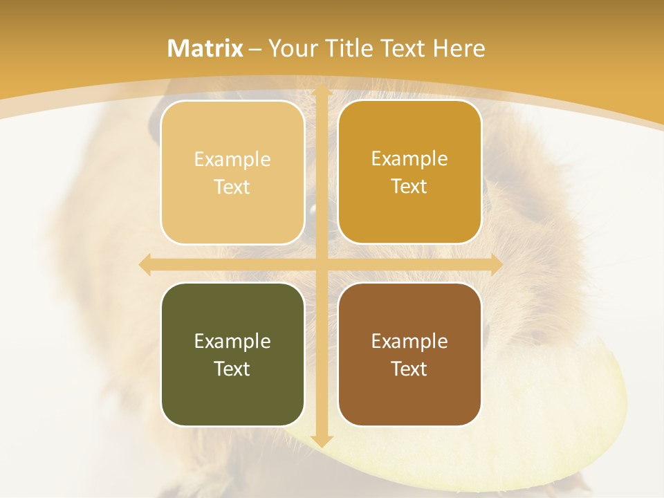 A Hamster With A Piece Of Apple In Its Mouth PowerPoint Template