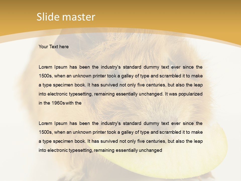 A Hamster With A Piece Of Apple In Its Mouth PowerPoint Template
