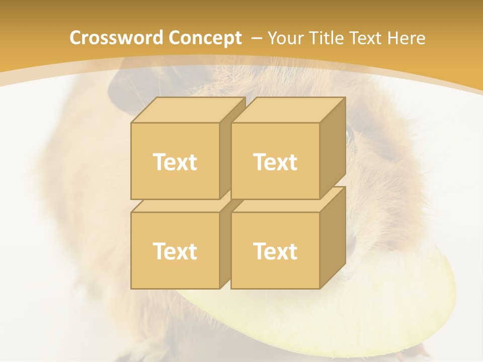 A Hamster With A Piece Of Apple In Its Mouth PowerPoint Template