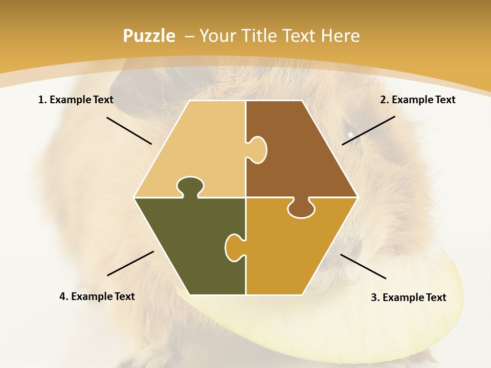 A Hamster With A Piece Of Apple In Its Mouth PowerPoint Template