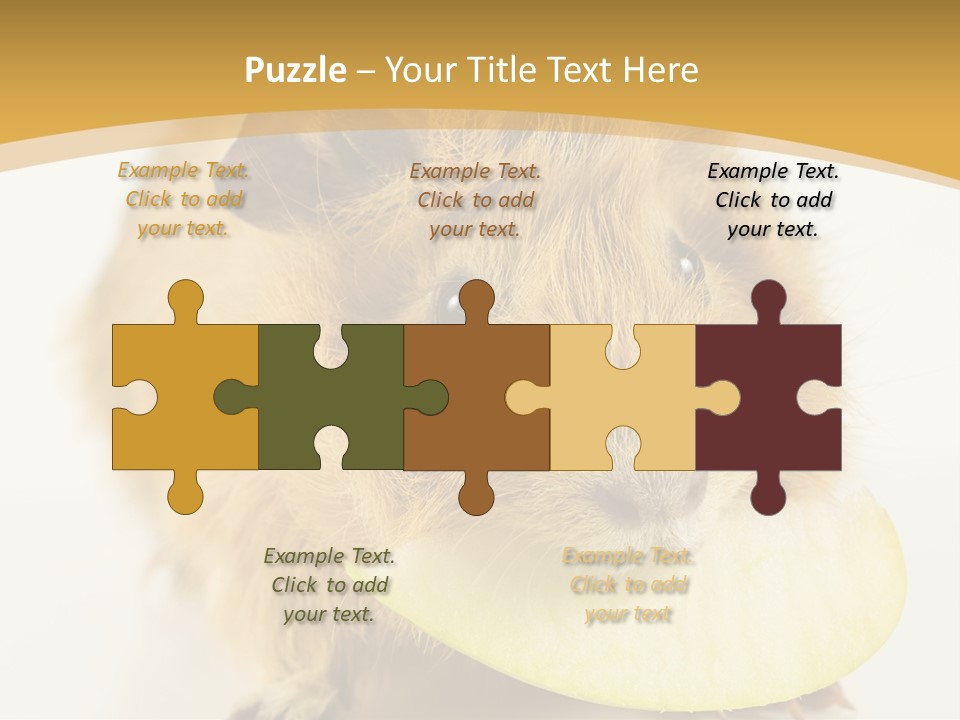 A Hamster With A Piece Of Apple In Its Mouth PowerPoint Template