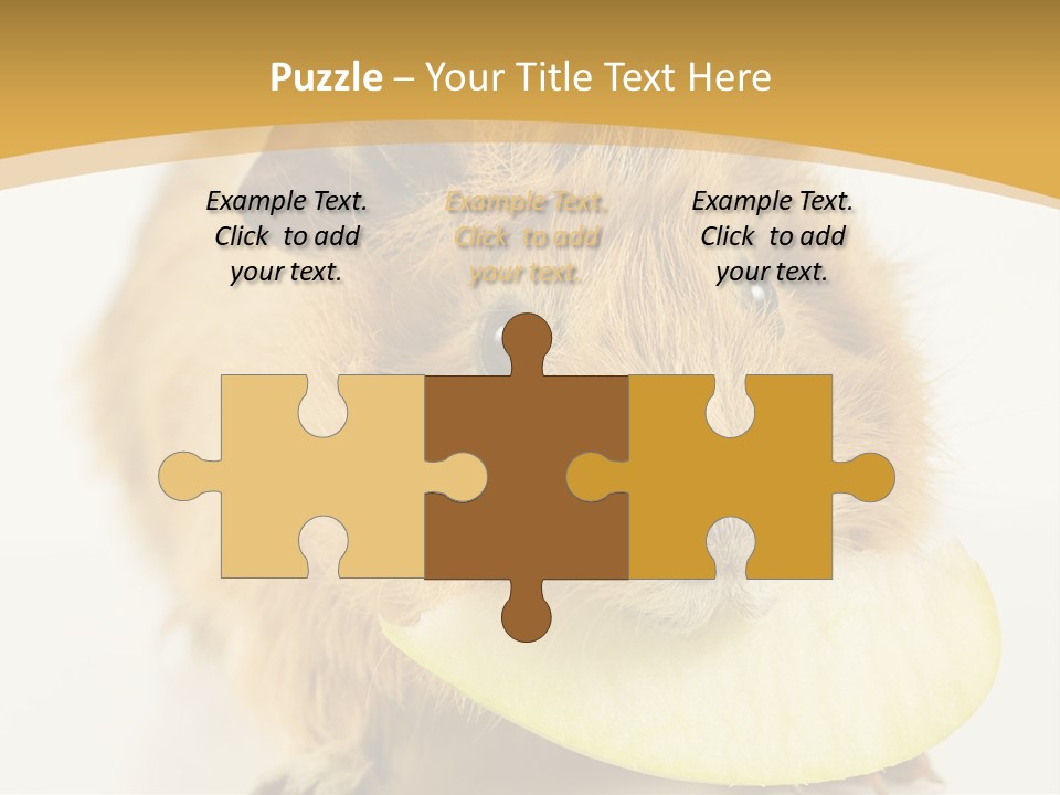 A Hamster With A Piece Of Apple In Its Mouth PowerPoint Template