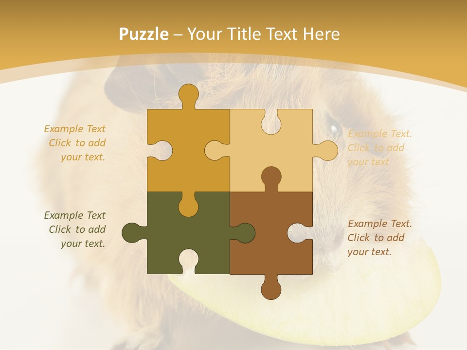 A Hamster With A Piece Of Apple In Its Mouth PowerPoint Template