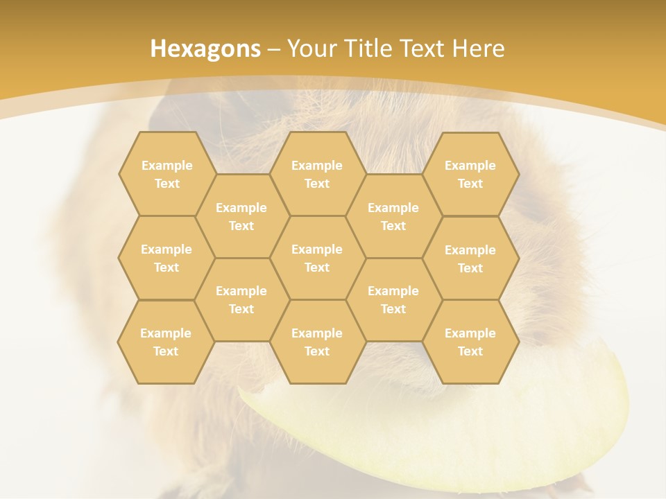 A Hamster With A Piece Of Apple In Its Mouth PowerPoint Template