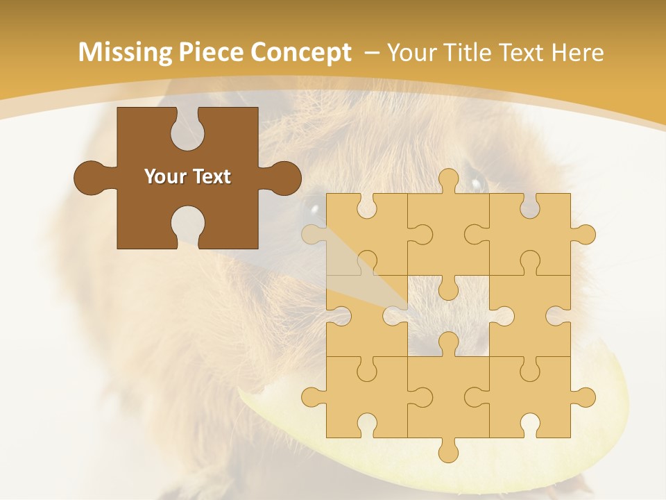 A Hamster With A Piece Of Apple In Its Mouth PowerPoint Template