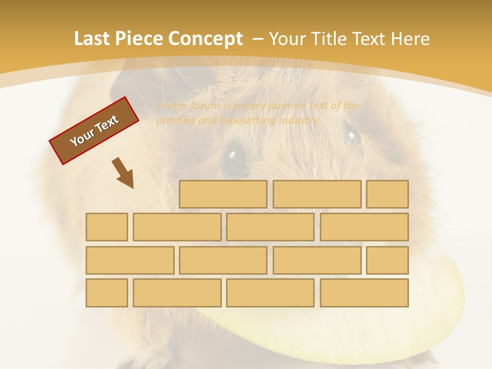 A Hamster With A Piece Of Apple In Its Mouth PowerPoint Template