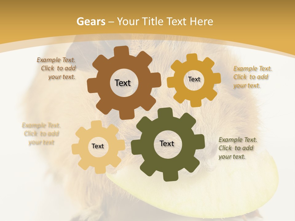 A Hamster With A Piece Of Apple In Its Mouth PowerPoint Template