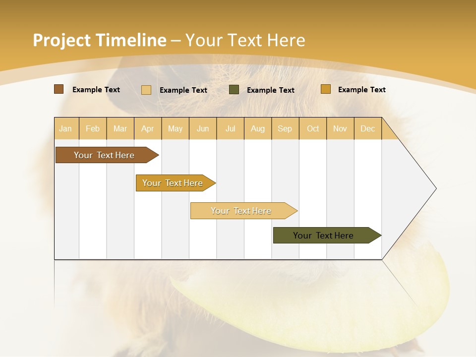 A Hamster With A Piece Of Apple In Its Mouth PowerPoint Template