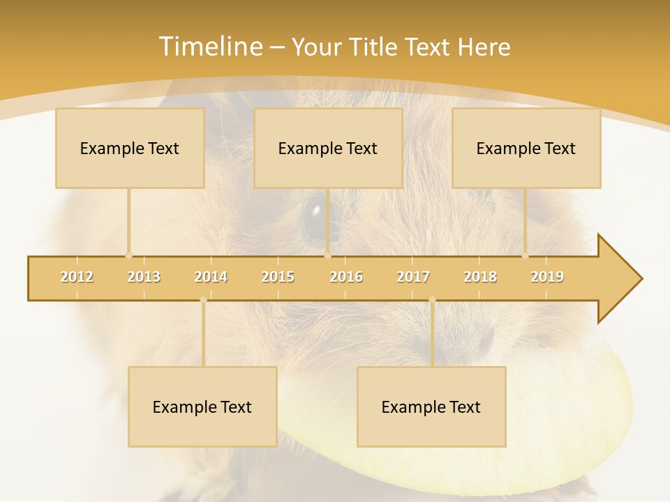 A Hamster With A Piece Of Apple In Its Mouth PowerPoint Template