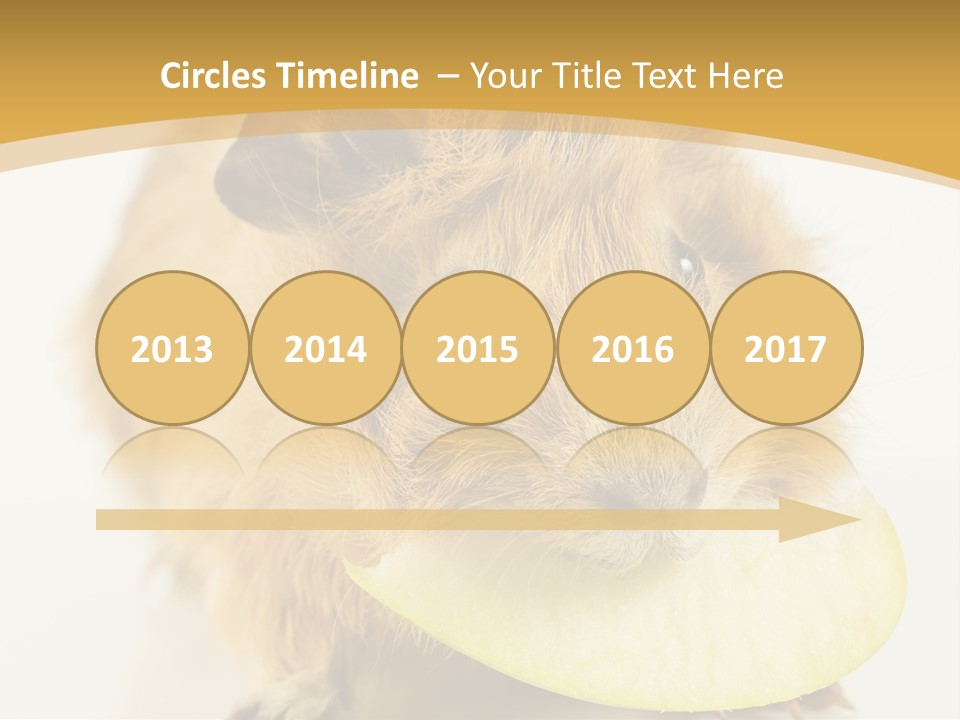 A Hamster With A Piece Of Apple In Its Mouth PowerPoint Template