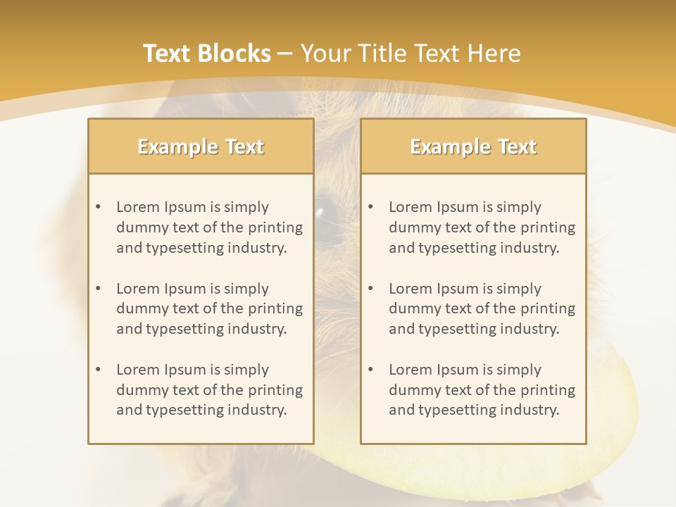 A Hamster With A Piece Of Apple In Its Mouth PowerPoint Template