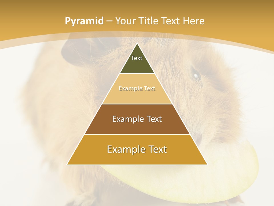 A Hamster With A Piece Of Apple In Its Mouth PowerPoint Template