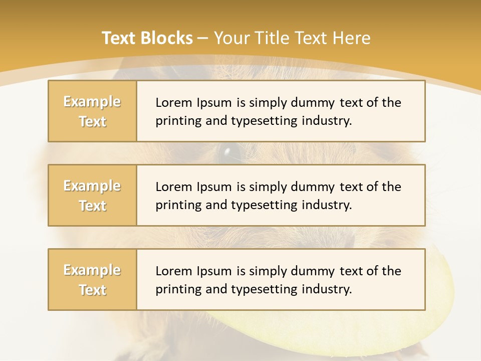 A Hamster With A Piece Of Apple In Its Mouth PowerPoint Template