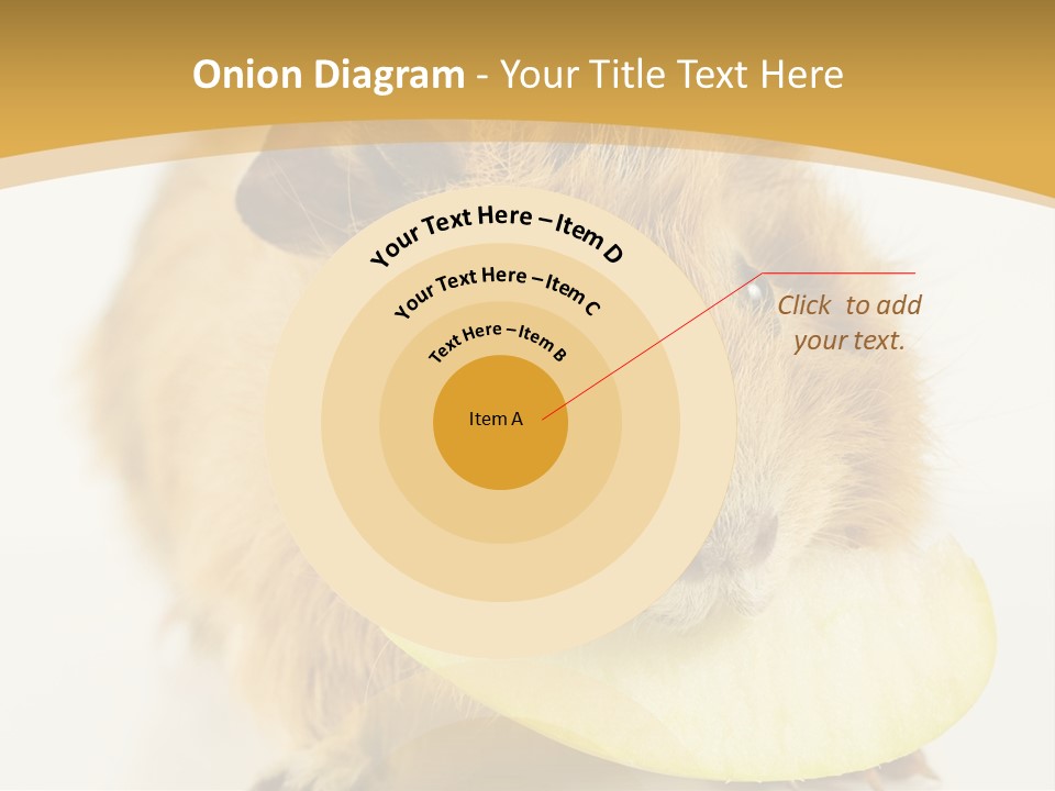 A Hamster With A Piece Of Apple In Its Mouth PowerPoint Template