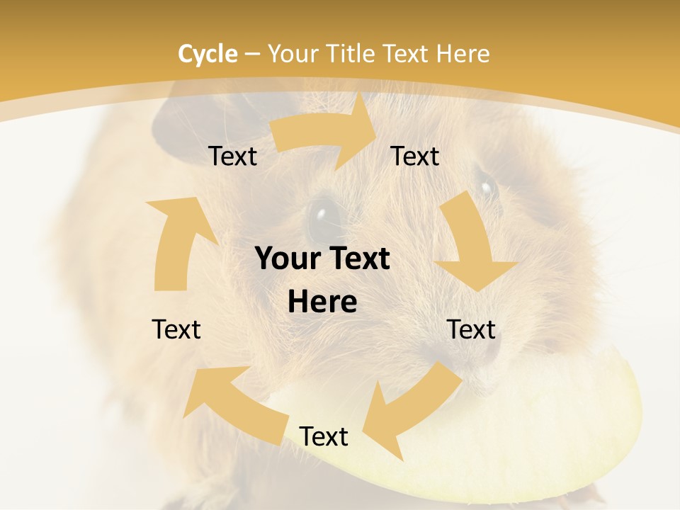 A Hamster With A Piece Of Apple In Its Mouth PowerPoint Template