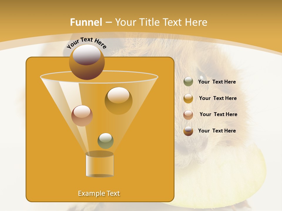 A Hamster With A Piece Of Apple In Its Mouth PowerPoint Template