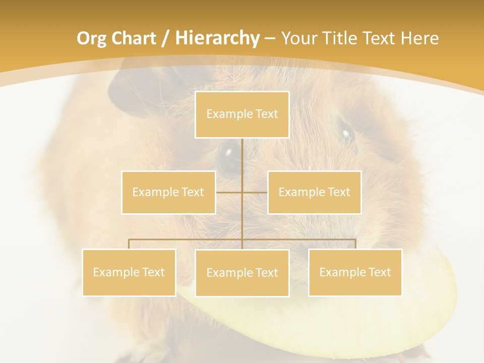 A Hamster With A Piece Of Apple In Its Mouth PowerPoint Template