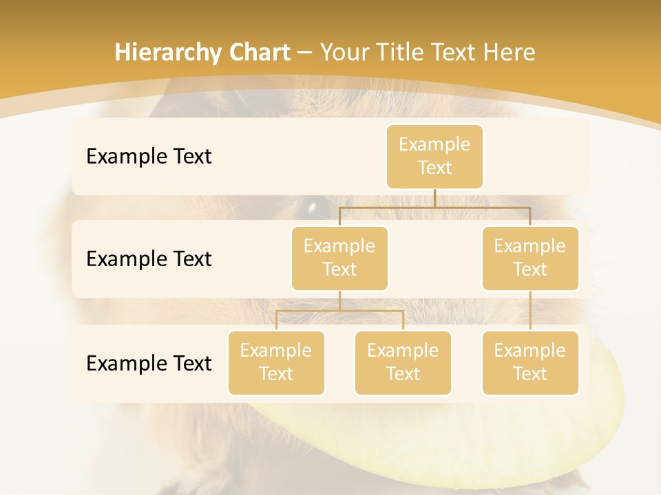 A Hamster With A Piece Of Apple In Its Mouth PowerPoint Template