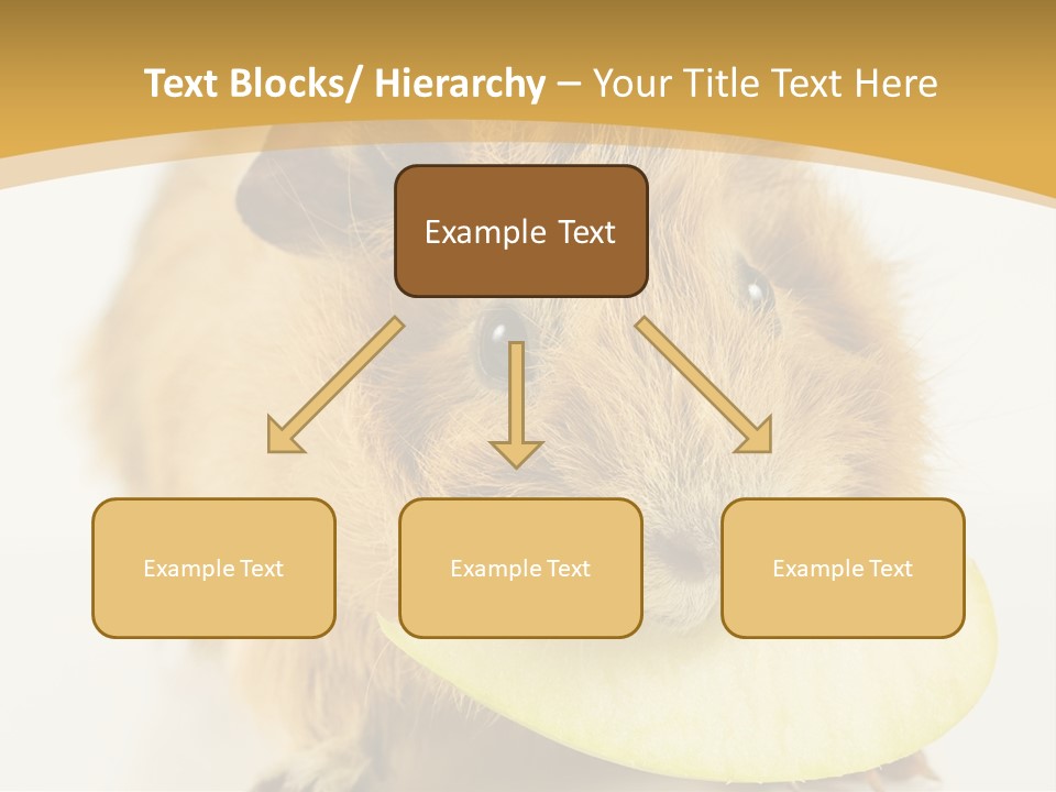 A Hamster With A Piece Of Apple In Its Mouth PowerPoint Template