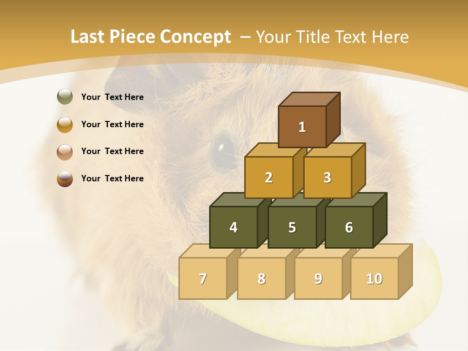 A Hamster With A Piece Of Apple In Its Mouth PowerPoint Template