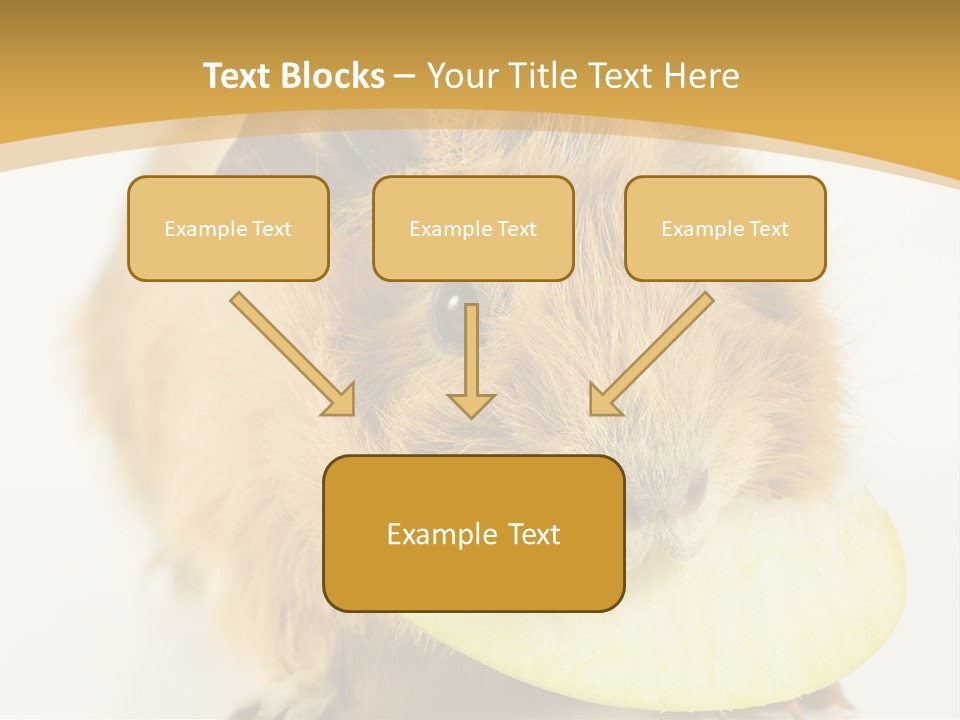 A Hamster With A Piece Of Apple In Its Mouth PowerPoint Template