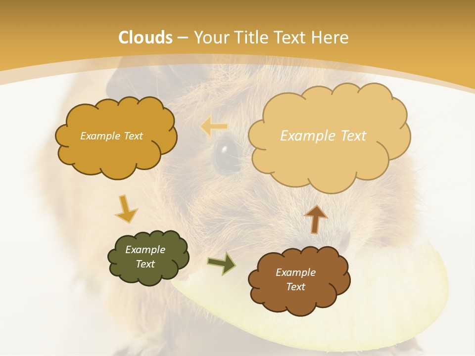 A Hamster With A Piece Of Apple In Its Mouth PowerPoint Template