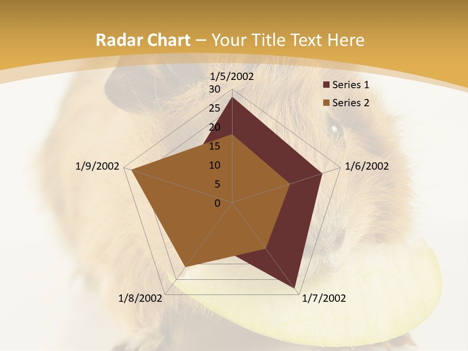 A Hamster With A Piece Of Apple In Its Mouth PowerPoint Template