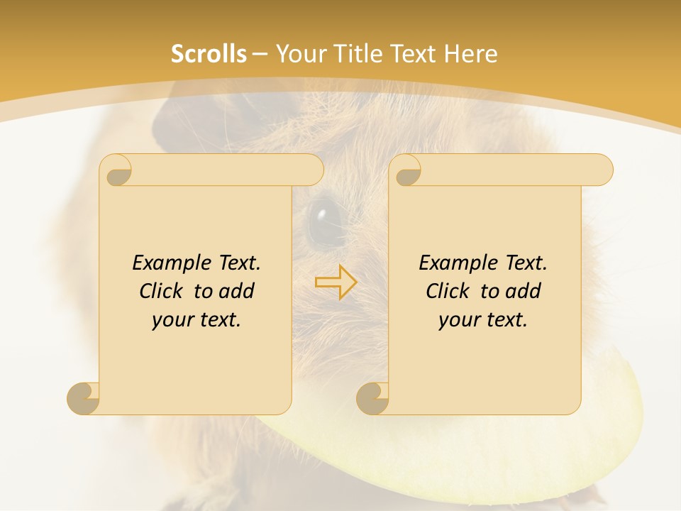 A Hamster With A Piece Of Apple In Its Mouth PowerPoint Template
