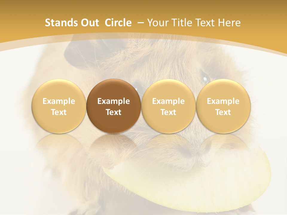 A Hamster With A Piece Of Apple In Its Mouth PowerPoint Template
