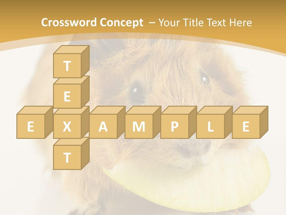 A Hamster With A Piece Of Apple In Its Mouth PowerPoint Template