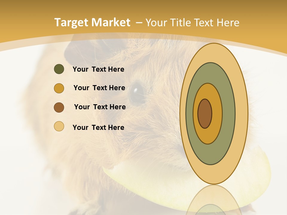 A Hamster With A Piece Of Apple In Its Mouth PowerPoint Template