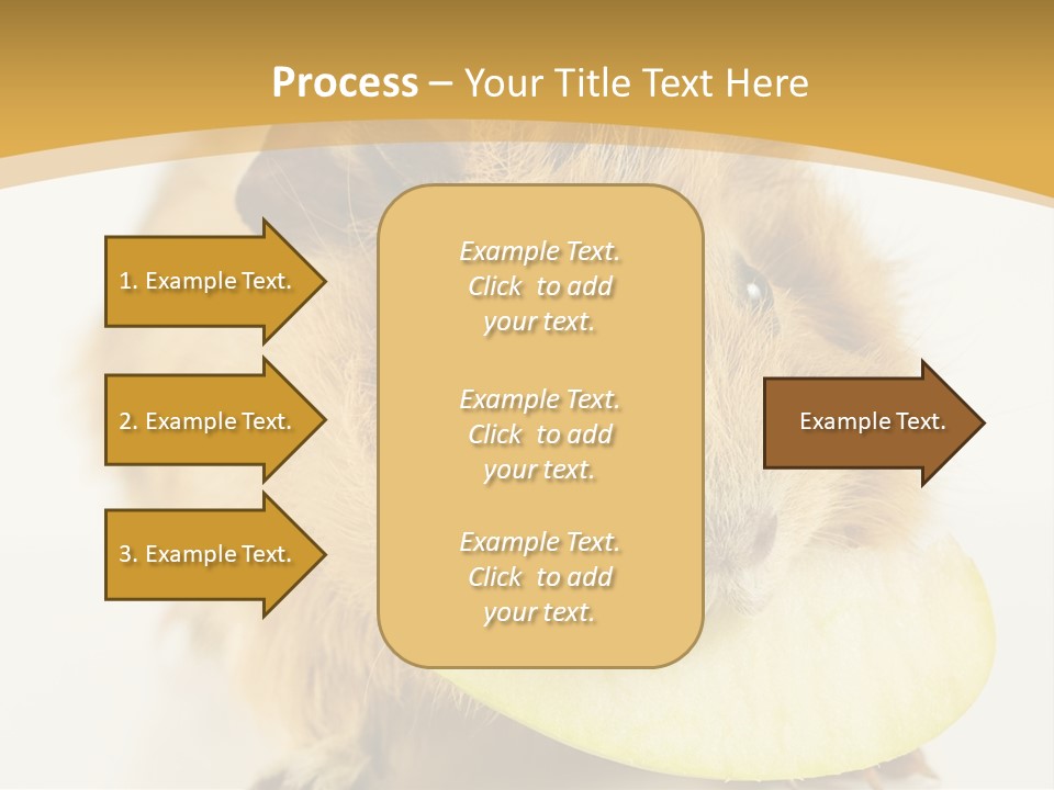 A Hamster With A Piece Of Apple In Its Mouth PowerPoint Template