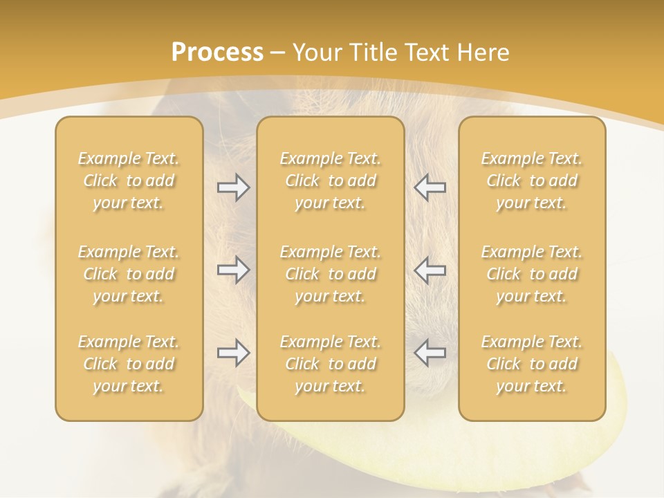 A Hamster With A Piece Of Apple In Its Mouth PowerPoint Template