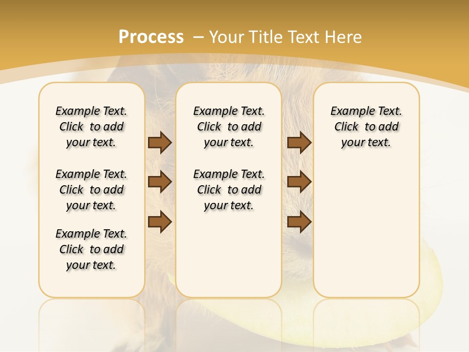 A Hamster With A Piece Of Apple In Its Mouth PowerPoint Template